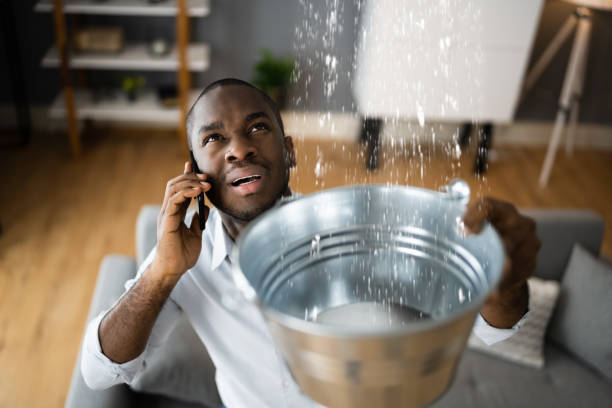 Best Basement water damage restoration  in New Oxford, PA