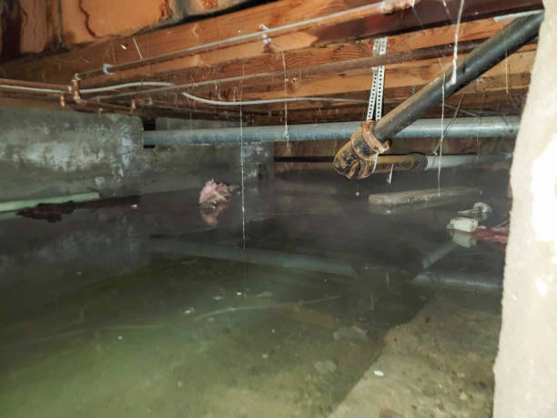 Best 24/7 water damage repair  in New Oxford, PA