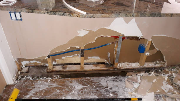 Best Professional water damage repair  in New Oxford, PA