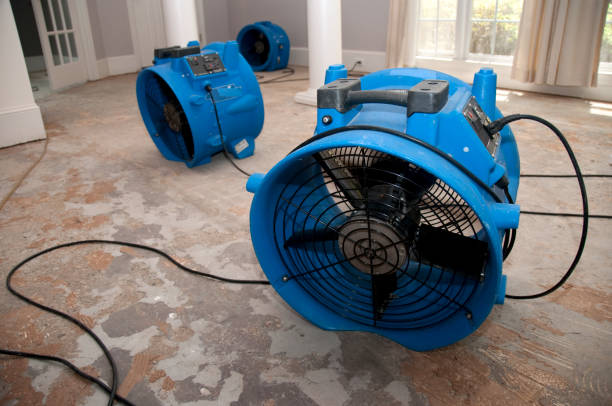 Best 24/7 water damage repair  in New Oxford, PA