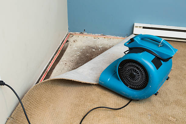  New Oxford, PA Water damage restoration Pros